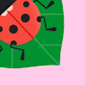 Meet your Posher, Noemi